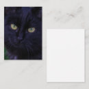 Search for yellow cat invitations Animals