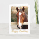 Search for horse cards Farm animal