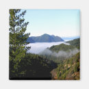 Search for mist magnets Fog