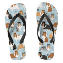 Search for dog shoes Paws