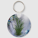 Search for creationism key rings Nature