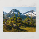 Search for spruce postcards Snow