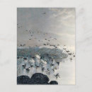 Search for mallard vertical postcards Hunting