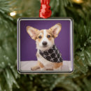 Search for bandana christmas tree decorations Puppy