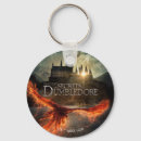 Search for secrets key rings Fantastic beasts