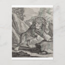 Search for male lions postcards Safari
