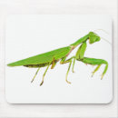 Search for odd mouse mats Strange
