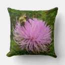 Search for thistle cushions Wildflower