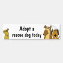 Search for dog rescue bumper stickers Puppies