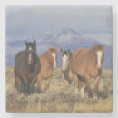Search for herd coasters Landscape