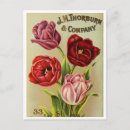 Search for vegan vertical postcards Vintage