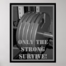 Search for flex posters Bodybuilding