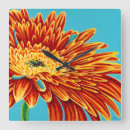 Search for color burst Flowers