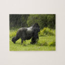 Search for silverback gorilla toy games Africa