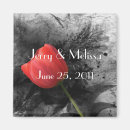 Search for wedding magnets Nature