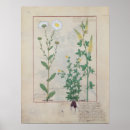 Search for book illustrations posters 15th