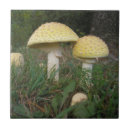 Search for mushroom tiles Toadstools