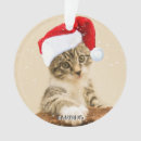 Search for christmas carol gifts Animals