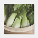 Search for cabbage photography Vegetable
