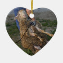 Search for sheep shearing Shearer