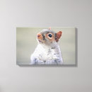 Search for soft canvas prints Animal