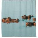 Search for hippo shower curtains Wildlife