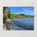 Search for toro Tropical