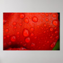 Search for raindrops posters Floral