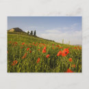 Search for for terry postcards Field