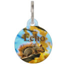 Search for squirrel pet supplies Wildlife