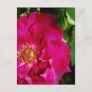 Search for shrub vertical postcards Green