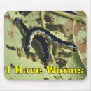 Search for worms mouse mats Fishing