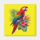 Search for macaws magnets Nature