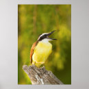 Search for danita delimont posters Daytime