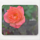Search for nature mouse mats Photography