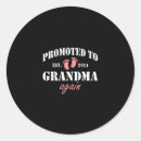 Search for grandmother stickers Promoted to grandma