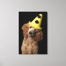 Search for breed canvas prints Colour image