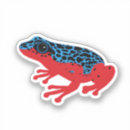 Search for rainforest frog stickers Nature