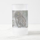 Search for pygmy mugs Wildlife