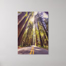 Search for aves art Nature