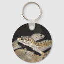 Search for terrarium key rings Reptile