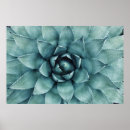 Search for leaf plant posters Flower