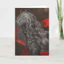 Search for friesian cards Equine