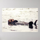 Search for rafting posters Sea