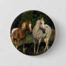 Search for appaloosa badges Bob langrish