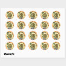 Search for terrapins stickers Turtle