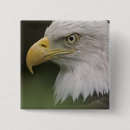Search for bird portrait square badges North america