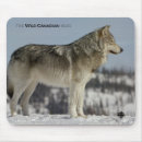 Search for wolf mouse mats Nature