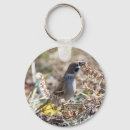 Search for sparrow key rings Animal
