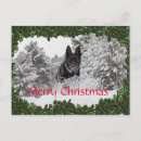 Search for black german shepherd cards Alsatian